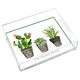 Southwest Potted Garden Lucite Tray Image 1 of 4